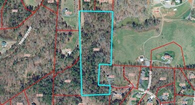 0000 Mountain Shadows Dr, Leicester, NC 28748 - photo 3