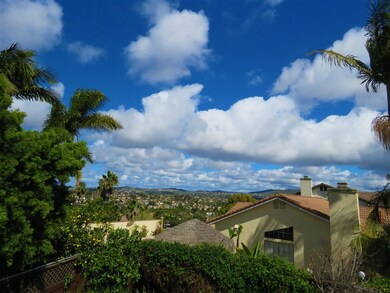 2001 Wandering Rd, Encinitas, CA 92024 - photo 7