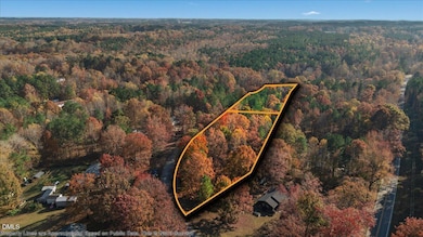 5-DJI_20251109135956_0406_D