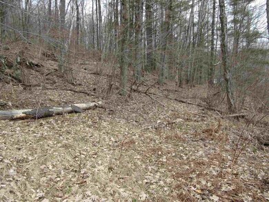 5732 Monument Hill Rd unit Lot 1, Castleton, VT 05735 - photo 7