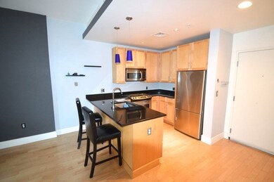 181 Essex St unit E303, Boston, MA 02111 - photo 2