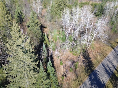 0 Forest Hill Dr unit 25694657, Townsend, WI 54175 - photo 6