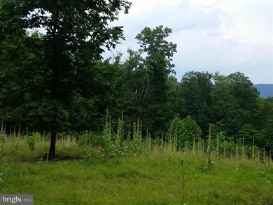 0 Appalachian Trail Rd, Blue Ridge, VA - photo 2