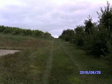 hill.rd 005
