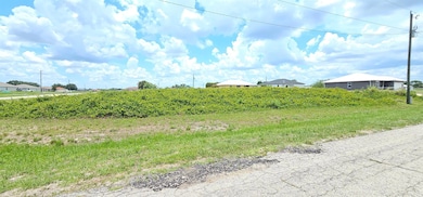 7003 Tide Cir, Port Labelle, FL 33935 - photo 2