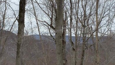 Lot 0 Howe Pond Rd, Readsboro, VT 05350 - photo 2