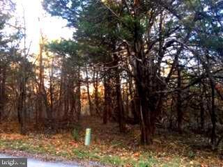 0 Wren Ln unit VASH117756, Strasburg, VA 22657 - photo 2