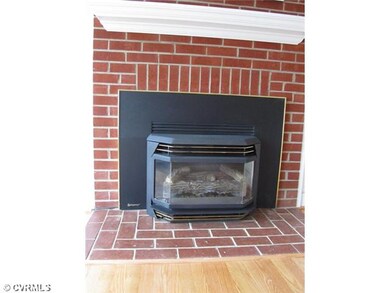 Living Room - New Natural Gas Insert