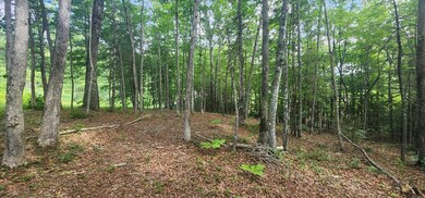 Front of the property