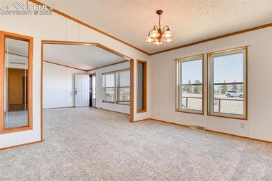 10120 Horseback Trail, Peyton, CO 80831 - photo 2