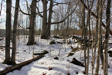 00 Tyson Rd, Reading, VT 05062 - photo 5