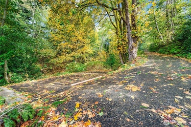 13843 SW 248th St, Vashon, WA 98070 - photo 6