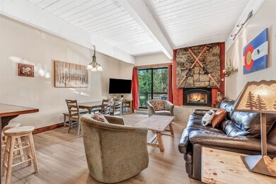 2355 Storm Meadows Dr unit 314, Steamboat Springs, CO 80487 - photo 3