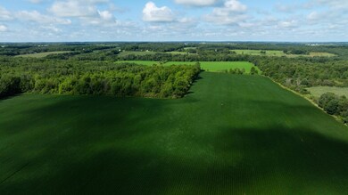 Lot 5 280th St, Glenwood City, WI 54013 - photo 4