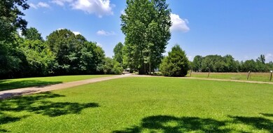 359 Horseshoe Bend Rd, Linden, TN 37096 - photo 2