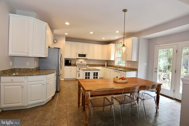 42233 St Huberts Place, Chantilly, VA 20152 - photo 6