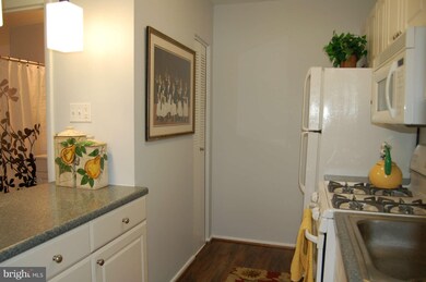 202 Park Terrace Ct SE unit 19, Vienna, VA 22180 - photo 4