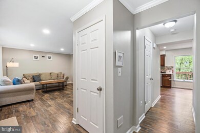 4525 Roop Rd, Mount Airy, MD 21771 - photo 6