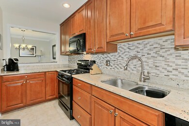 10094 Oakton Terrace Rd unit 10094, Oakton, VA 22124 - photo 6