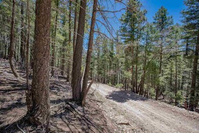 0 Forest View Rd unit 171893, Cloudcroft, NM 88317 - photo 2