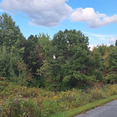 1175 207th Pic 3.jpg