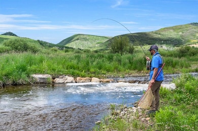 26760 Rimrock Trail, Oak Creek, CO 80467 - photo 6