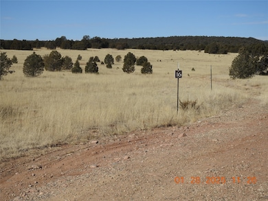 16 Calle Largo, Ribera, NM 87560 - photo 4