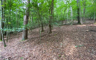 Additional View