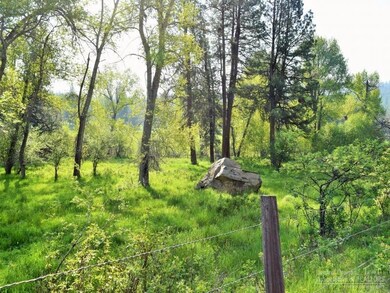 0 Camp Creek Rd unit 201705396, Bates, OR 97817 - photo 3