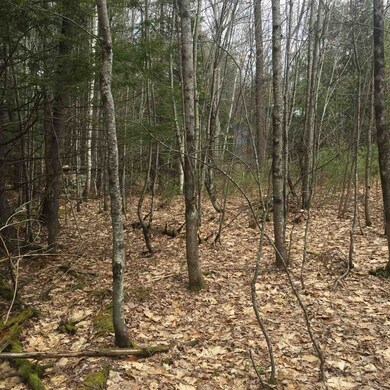 0 Joanna St unit tax lot number 029, Moultonborough, NH 03254 - photo 6