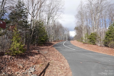 79 Longview Trail, Bostic, NC 28018 - photo 3