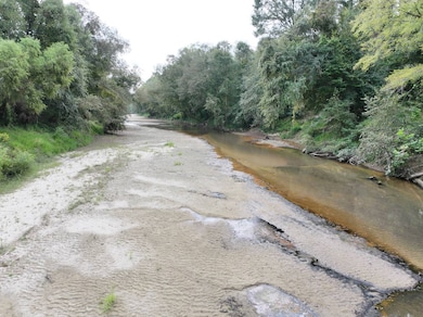 5001 Mississippi 547, Port Gibson, MS 39150 - photo 3