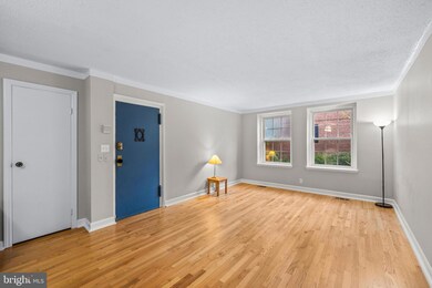 2970 S Columbus St unit A1, Arlington, VA 22206 - photo 2