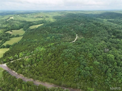 Rd, Festus, MO 63028 - photo 4