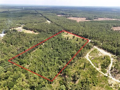 Aerial view of property and surrounding area featuring a forest and property boundaries highlighted