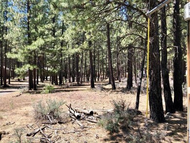 Ochoco Circle