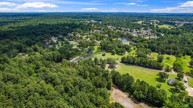Drone / aerial view of a forest and a nearby body of water