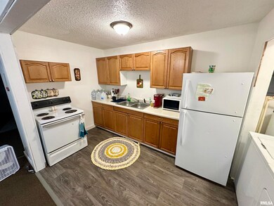 311 & 313 Main St, Meredosia, IL 62665 - photo 6