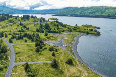 6103 Pinnacles Ct, Kodiak, AK 99615 - photo 5