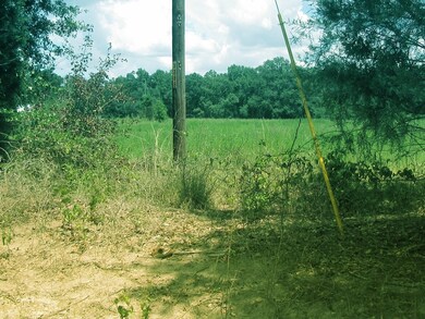 000 Eudon Best Rd, Ashford, AL 36312 - photo 3