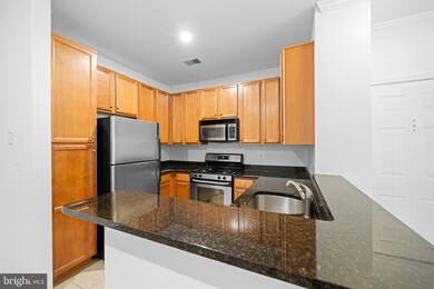 1516 N Point Dr unit 303, Reston, VA 20194 - photo 6