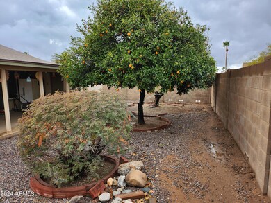 10214 W Cinnebar Ave, Sun City, AZ 85351 - photo 6