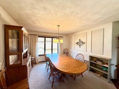 107 E Sunnyside Dr, Caledonia, MN 55921 - photo 4