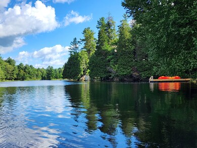 13167 Mc Coy Rd, Natural Bridge, NY 13665 - photo 7