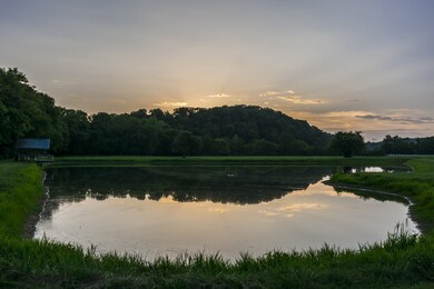 Sun setting over this beautiful pond. 