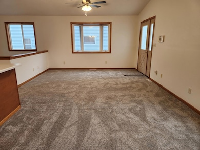 1009 1st Ave SW, Austin, MN 55912 - photo 4