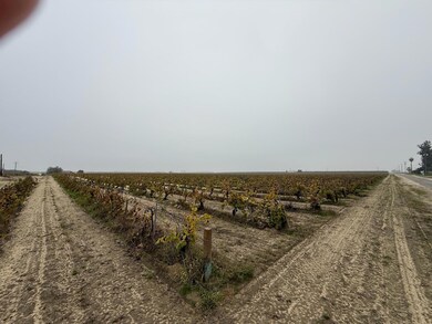 13242 S Willow Ave, Selma, CA 93662 - photo 2