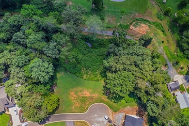 Lot 6 Parkview Dr S, Ellijay, GA 30540 - photo 3