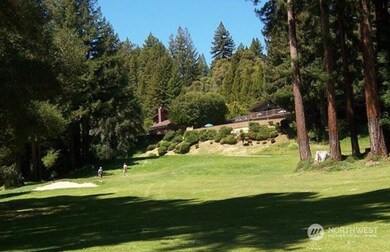 12618 Lovass Rd, Anderson Island, WA 98303 - photo 7