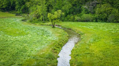 CONASAUGA CREEK